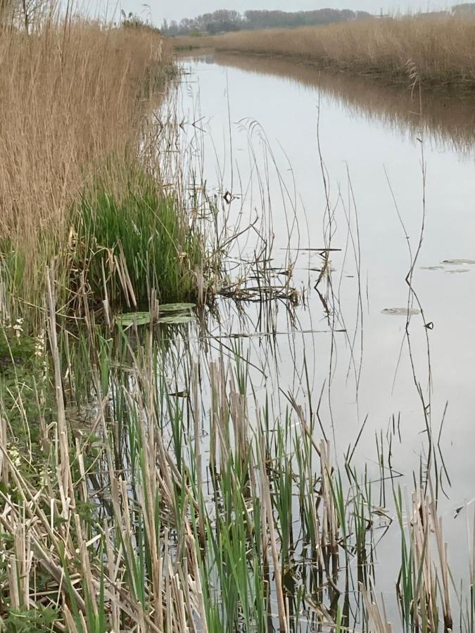 Vakantiehuis 'T Laaisterplakky Zonder Drempels Oude Bildtzijl エクステリア 写真