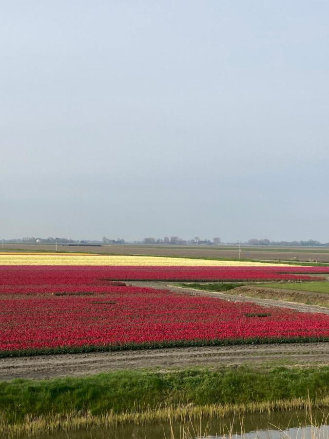 Vakantiehuis 'T Laaisterplakky Zonder Drempels Oude Bildtzijl エクステリア 写真
