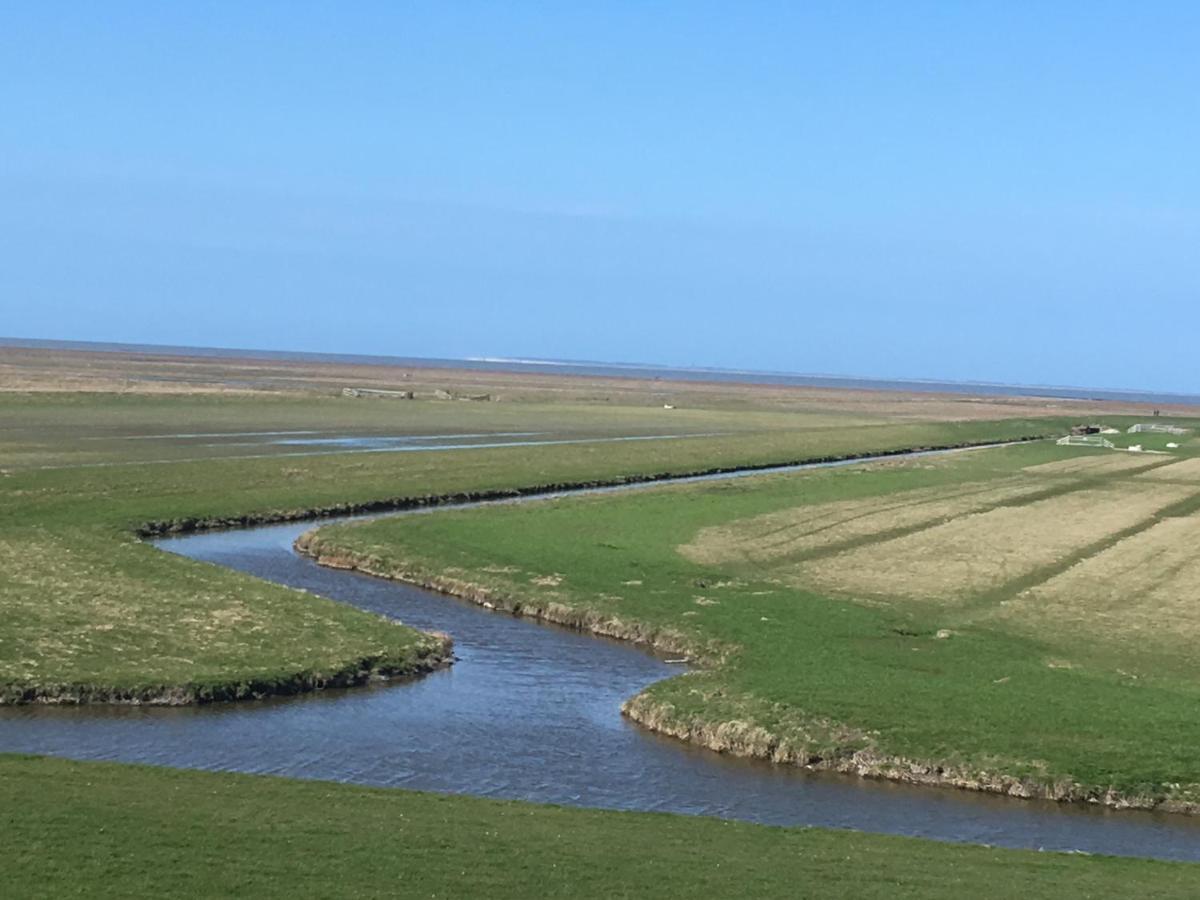 Vakantiehuis 'T Laaisterplakky Zonder Drempels Oude Bildtzijl エクステリア 写真