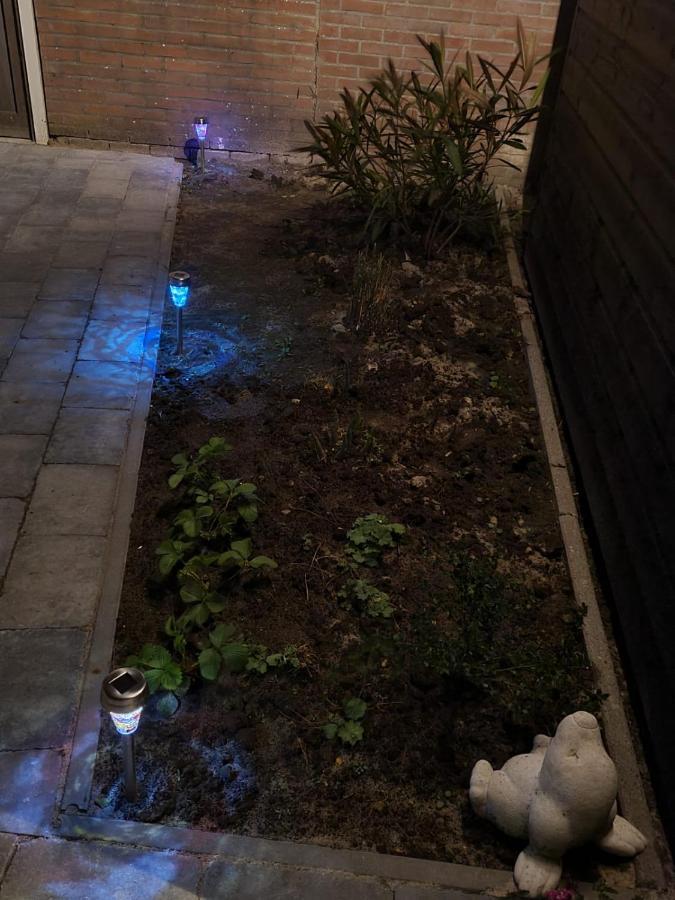 Vakantiehuis 'T Laaisterplakky Zonder Drempels Oude Bildtzijl エクステリア 写真